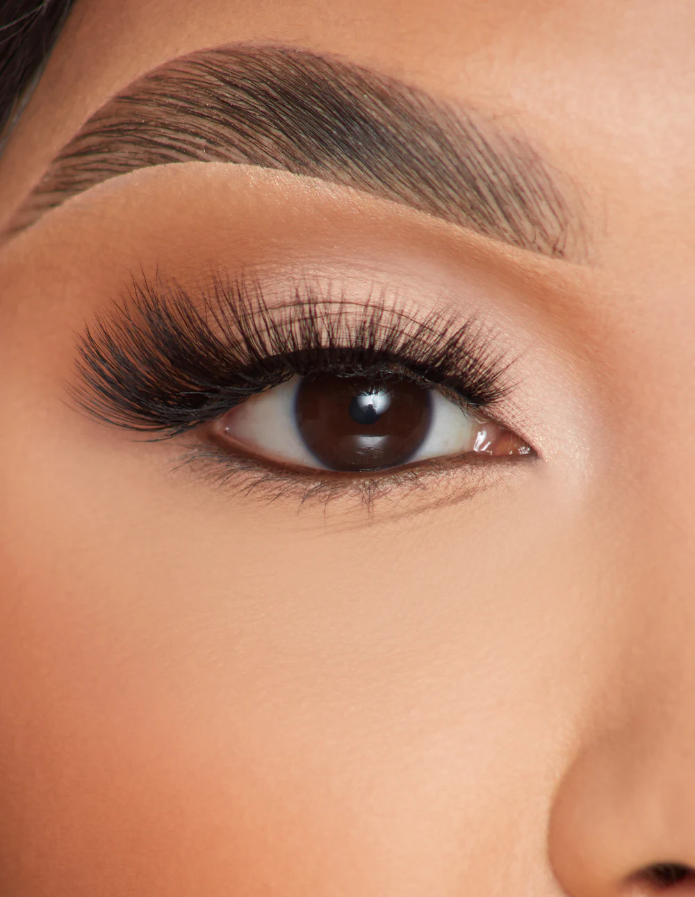 Feather Flair Lashes